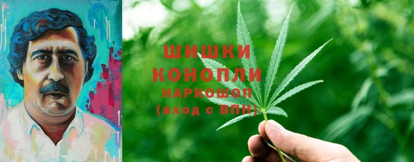 хмурый Бородино