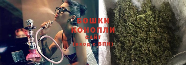 прущие крисы Верея