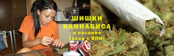 прущие крисы Верея