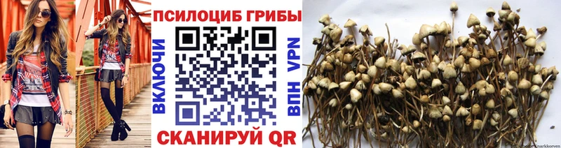 Псилоцибиновые грибы Psilocybine cubensis  Зеленокумск 
